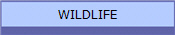 WILDLIFE